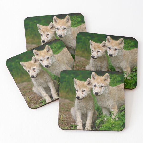 Artikelvorschau, Arctic Wolf Pups entworfen und verkauft von WolvesOnly.