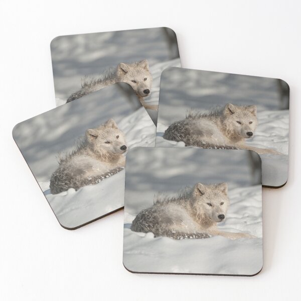 Item preview, Arctic Wolf designed and sold by WolvesOnly.