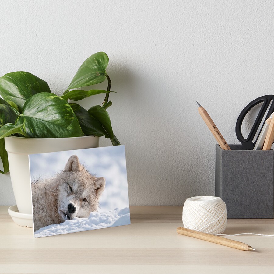 Vista previa del artículo con la obra «Lámina rígida», diseñado y vendido por WolvesOnly.