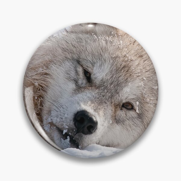 Item preview, Sleepy TIme designed and sold by WolvesOnly.