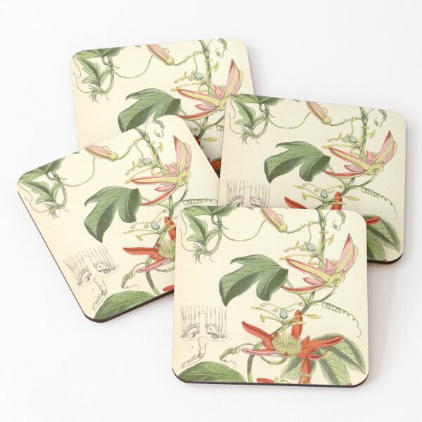 Item preview, Curtis's botanical magazine (Tab. 5911) (8391959907) designed and sold by EsotericBotanic.