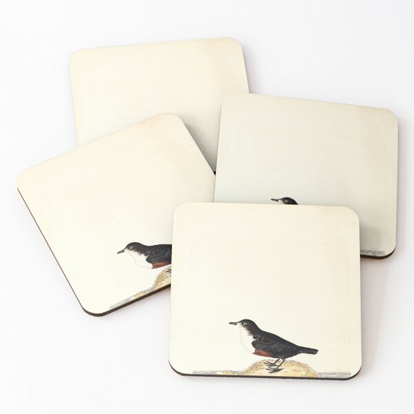 Item preview, British ornithology  being the history with a coloured representation of every known species of British birds George Graves 1821 111 designed and sold by WetdryvacRB01.