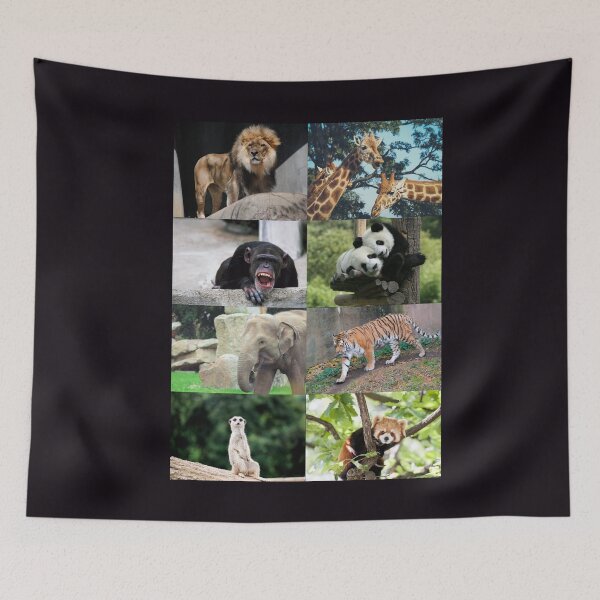 Item preview, zoológico de colón designed and sold by BarvinWayne.