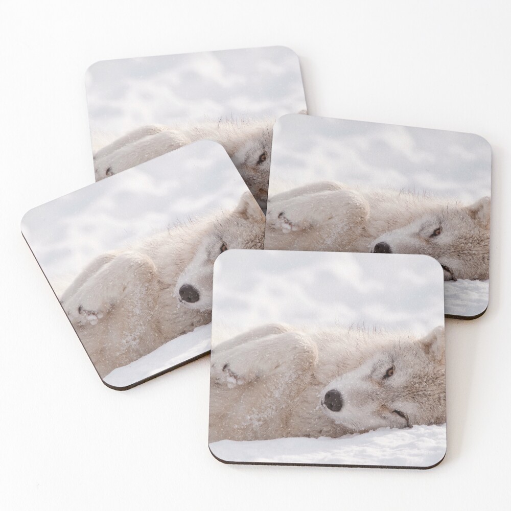 Item preview, Coasters (Set of 4) designed and sold by WolvesOnly.