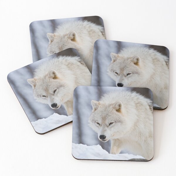 Artikelvorschau, Arctic Wolf entworfen und verkauft von WolvesOnly.