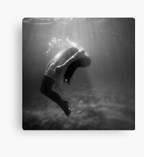 Float Metal Print