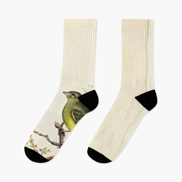 Item preview, British ornithology  being the history with a coloured representation of every known species of British birds George Graves 1821 112 designed and sold by WetdryvacRB01.