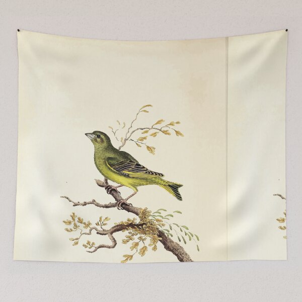 Item preview, British ornithology  being the history with a coloured representation of every known species of British birds George Graves 1821 112 designed and sold by WetdryvacRB01.