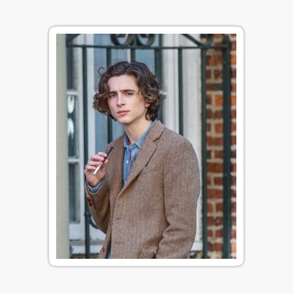 Timothée Chalamet Tweed A Rainy Day in New York Gatsby Blazer