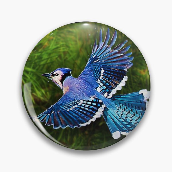 Item preview, bluejay in flight designed and sold by THE AMERICAN TEEVANGELIST.