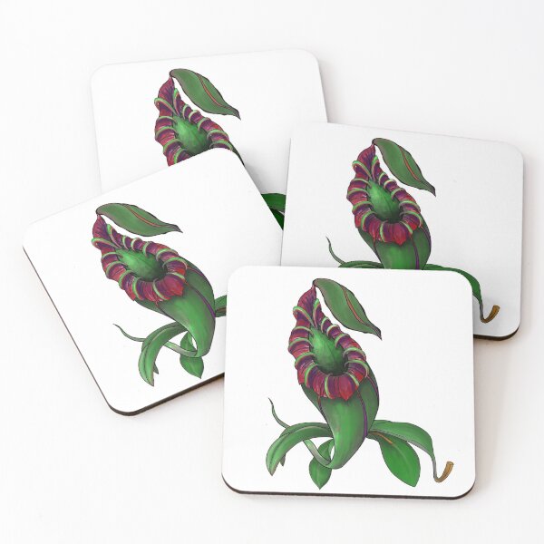 Item preview, Botanical Nepenthes Pitcher Plant Carnivorous Plant Gift Idea designed and sold by Carnivorous  Plant Club ⭐⭐⭐⭐⭐.