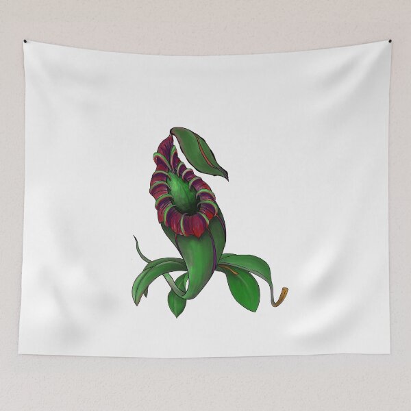 Item preview, Botanical Nepenthes Pitcher Plant Carnivorous Plant Gift Idea designed and sold by Carnivorous  Plant Club ⭐⭐⭐⭐⭐.