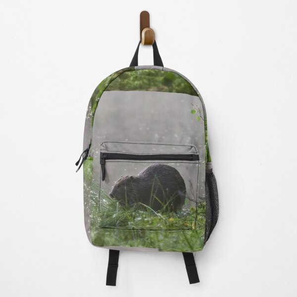 Item preview, Beavertime 5 designed and sold by Jouko Lehto Photography.