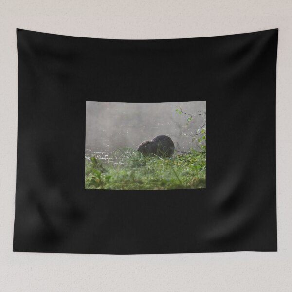 Item preview, Beavertime 5 designed and sold by Jouko Lehto Photography.