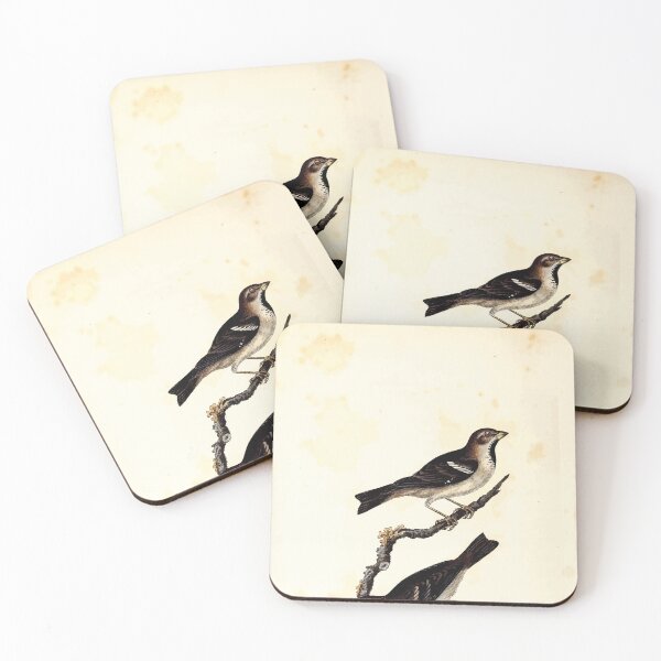 Item preview, British ornithology  being the history with a coloured representation of every known species of British birds George Graves 1821 114 designed and sold by WetdryvacRB01.
