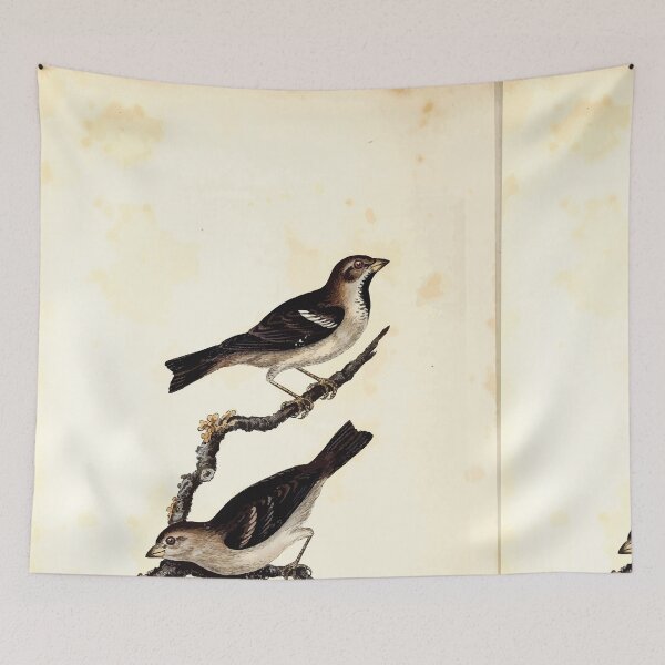 Item preview, British ornithology  being the history with a coloured representation of every known species of British birds George Graves 1821 114 designed and sold by WetdryvacRB01.