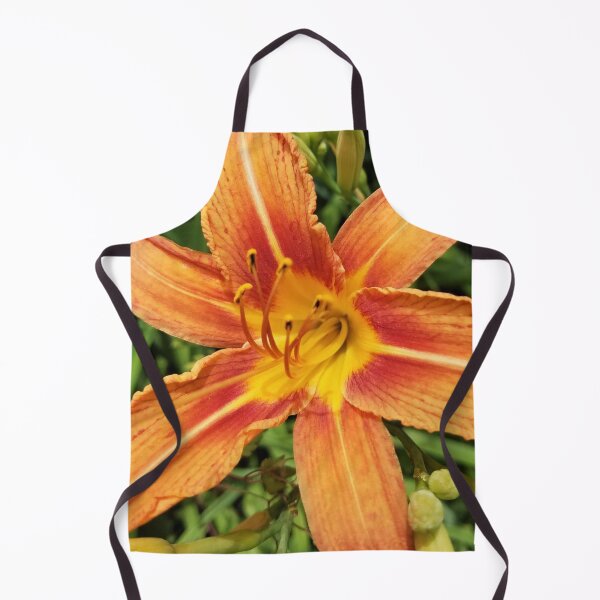 Item preview, Day Lily Close Up designed and sold by MooseDogPhotos.