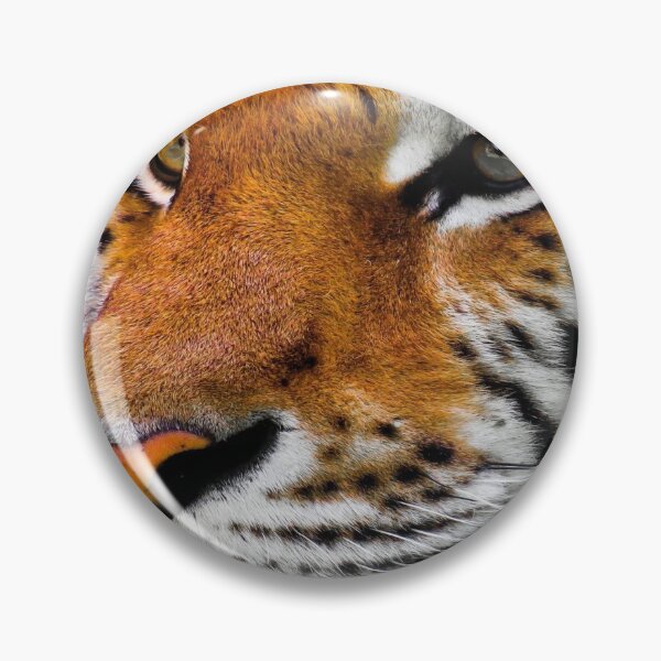 Item preview, Tiger Of The South designed and sold by sasijaya.
