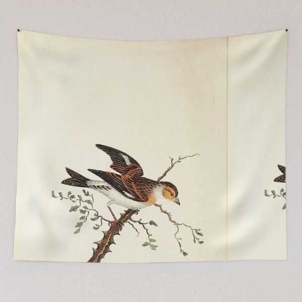 Item preview, British ornithology  being the history with a coloured representation of every known species of British birds George Graves 1821 115 designed and sold by WetdryvacRB01.