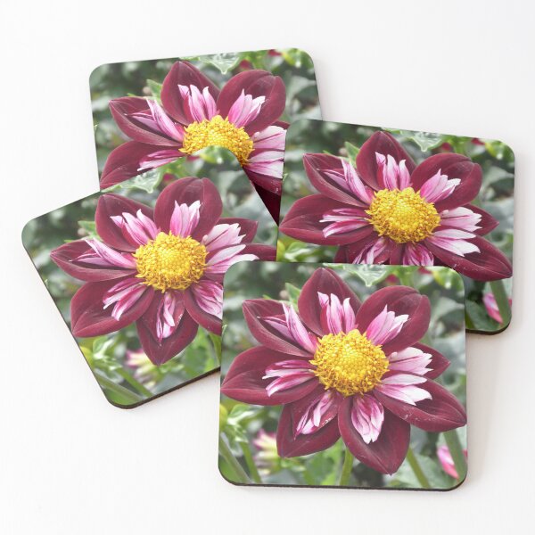 Item preview, dahlia designed and sold by Kriti68.