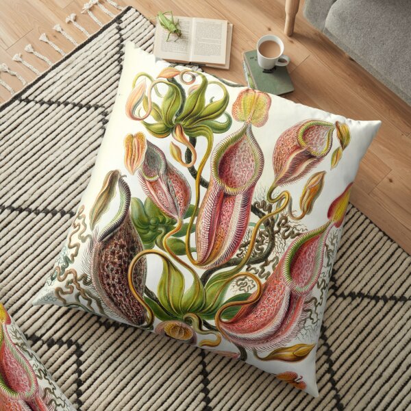 Plate 62- Nepenthaceae from Kunstformen der Natur (1904) by Ernst Haeckel Floor Pillow