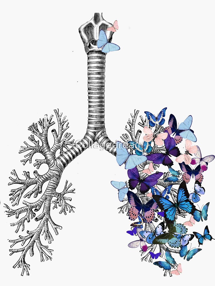 Artwork view, lungs blue butterflies, anatomy art, watercolor designed and sold by Collagedream