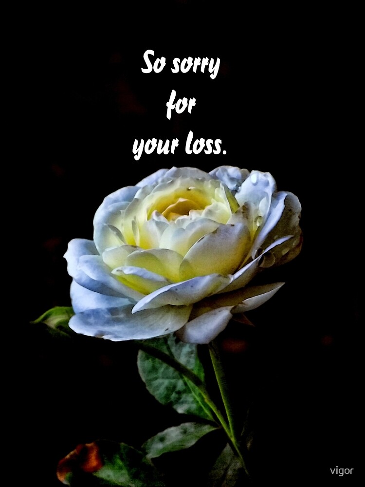 so-sorry-for-your-loss-poster-for-sale-by-vigor-redbubble