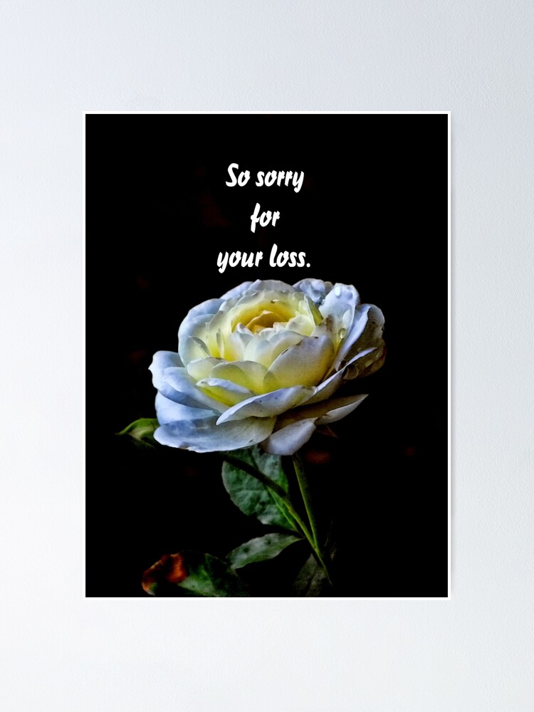 So Sorry For Your Loss Poster By Vigor Redbubble