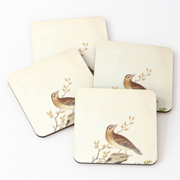 Item preview, British ornithology  being the history with a coloured representation of every known species of British birds George Graves 1821 117 designed and sold by WetdryvacRB01.