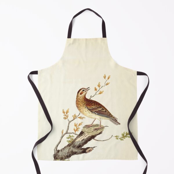 Item preview, British ornithology being the history with a coloured representation of every known species of British birds George Graves 1821 117 designed and sold by WetdryvacRB01.