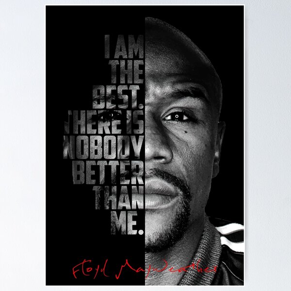  Floyd Mayweather Jr Professional Championship Boxer Fabric Wall  Scroll Poster (16 x 22) Inches: Prints: Posters & Prints