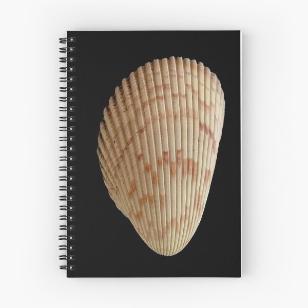 Item preview, Shells on the beach designed and sold by ralphsamo.