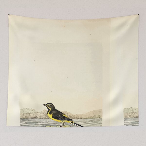 Item preview, British ornithology  being the history with a coloured representation of every known species of British birds George Graves 1821 118 designed and sold by WetdryvacRB01.