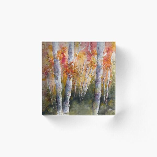 Herbst im Birkenwald Acrylblock