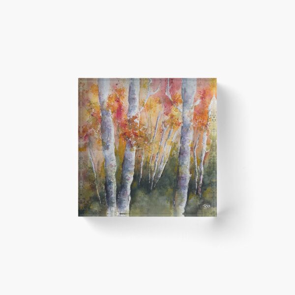 Herbst im Birkenwald Acrylblock