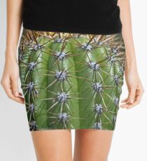 Echinopsis Spachiana Torch Cactus Guilfoyle's Volcano Melbourne Botanic Gardens Victoria 20151108 0611 Mini Skirt