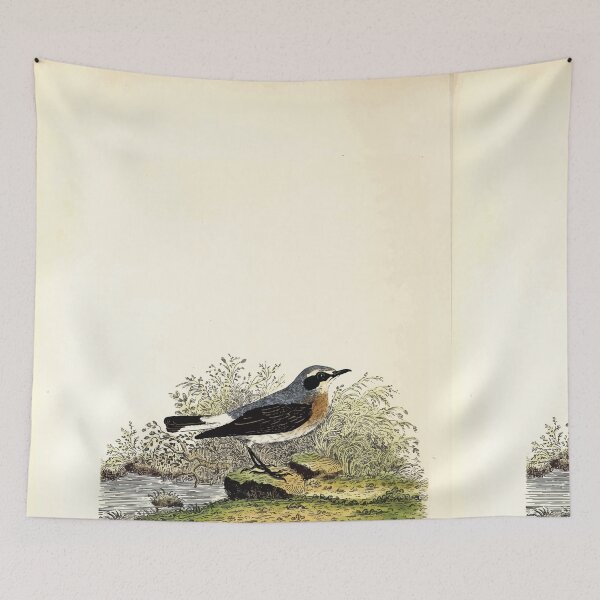 Item preview, British ornithology  being the history with a coloured representation of every known species of British birds George Graves 1821 120 designed and sold by WetdryvacRB01.