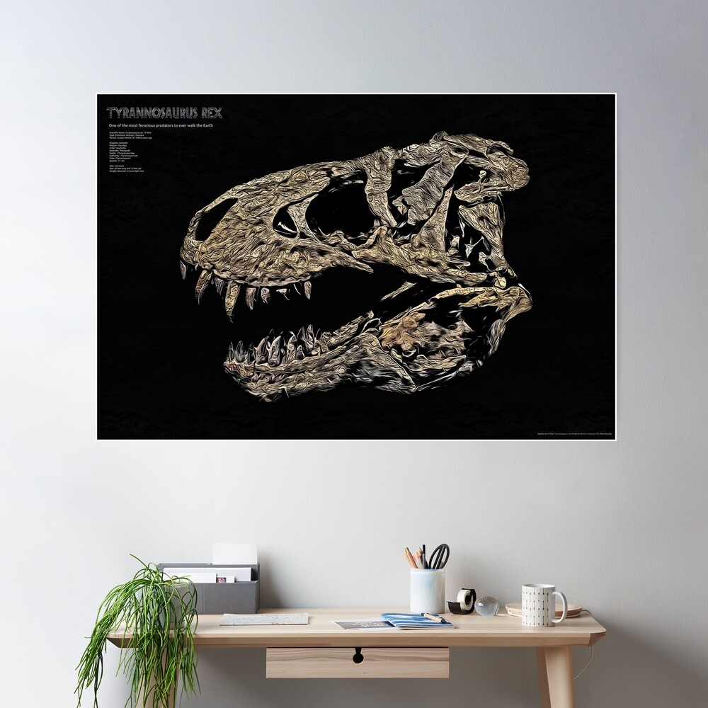 Tyrannosaurus Rex Fosil craneo - T-REX Póster
