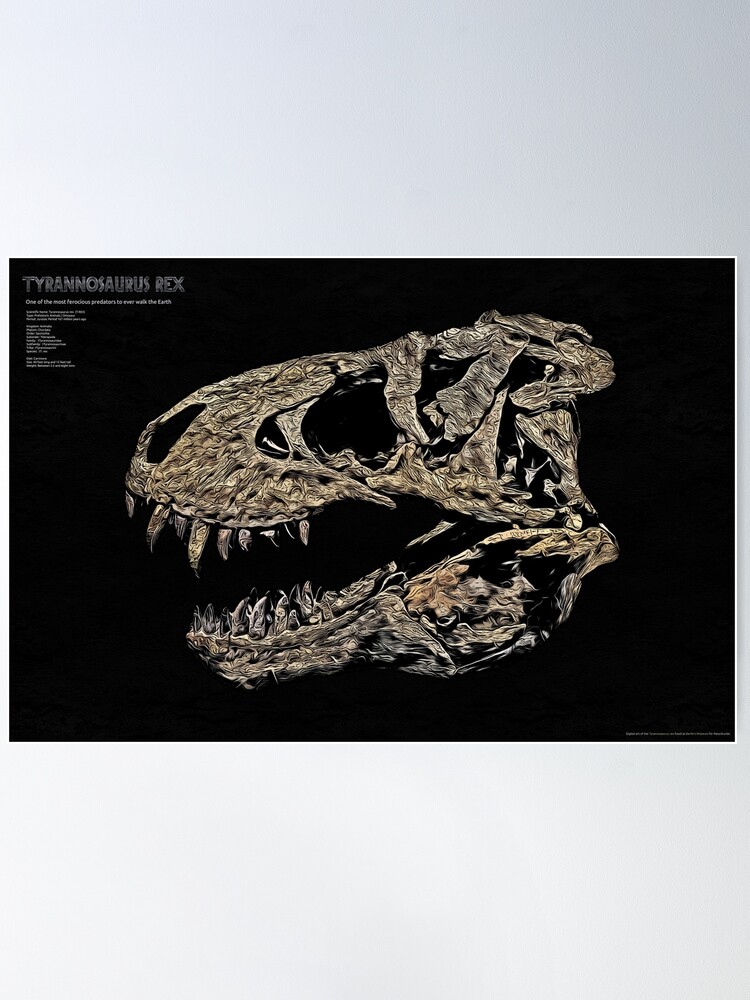 Imagen 2 de 3, Póster con la obra Tyrannosaurus Rex Fosil craneo - T-REX, diseñada y vendida por Astrobiologic.