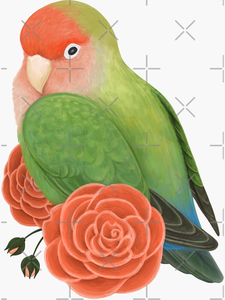 Peach Face Flowers Vinyl