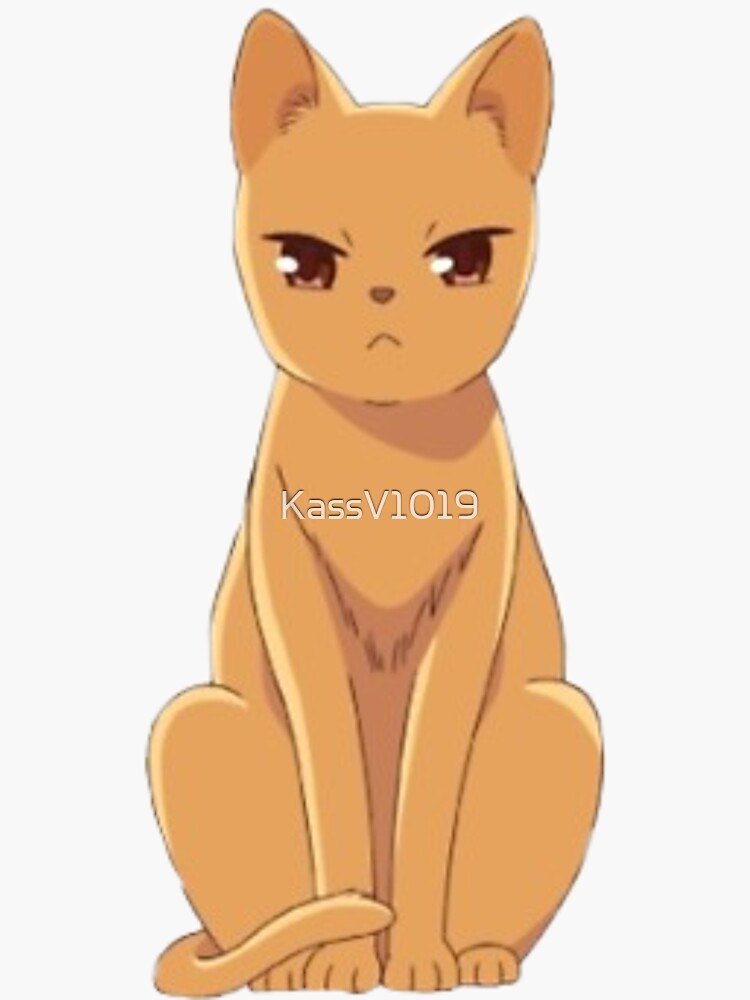 kyo with cat pop