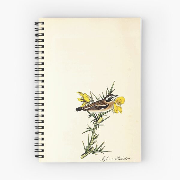 Item preview, British ornithology  being the history with a coloured representation of every known species of British birds George Graves 1821 121 designed and sold by WetdryvacRB01.