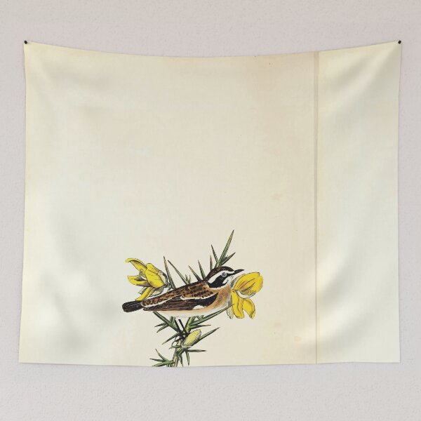 Item preview, British ornithology  being the history with a coloured representation of every known species of British birds George Graves 1821 121 designed and sold by WetdryvacRB01.