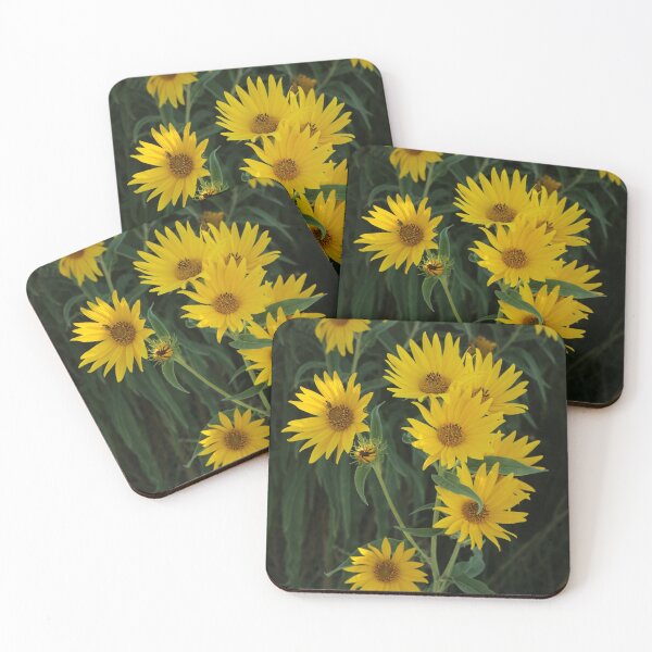 Item preview, Sunflowers I designed and sold by Daniel Holtmeyer.