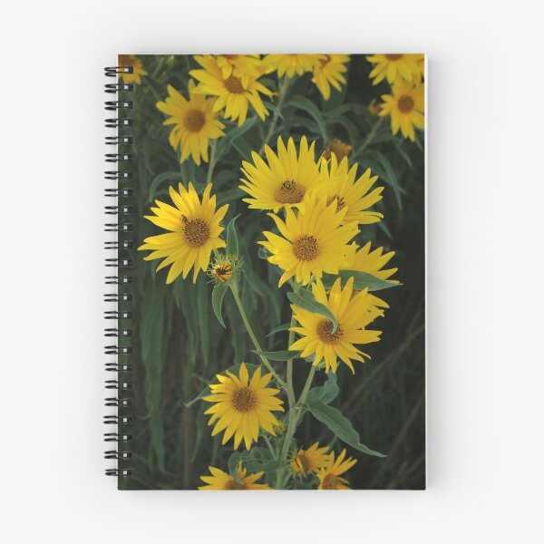 Item preview, Sunflowers I designed and sold by Daniel Holtmeyer.