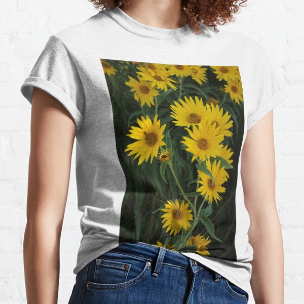 Sunflowers I Classic T-Shirt