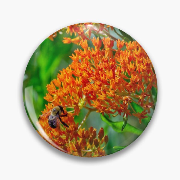 Item preview, Asclepias tuberosa designed and sold by Thymely.