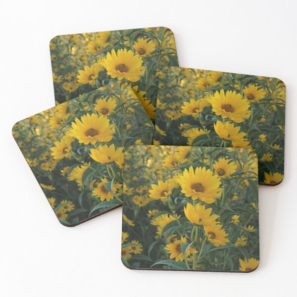 Item preview, Sunflowers III designed and sold by Daniel Holtmeyer.