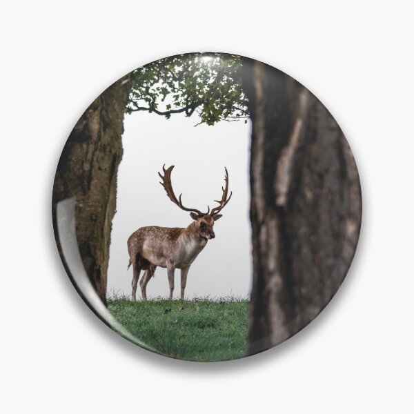 Item preview, Fallow Deer designed and sold by Jay Mayne.