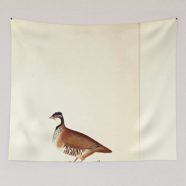 Item preview, British ornithology  being the history with a coloured representation of every known species of British birds George Graves 1821 122 designed and sold by WetdryvacRB01.